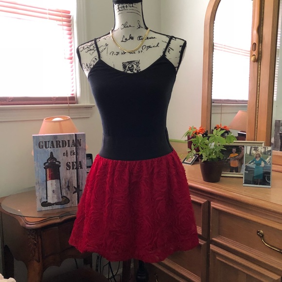 Stooshy Dresses & Skirts - Stopshy floral lined red skirt size S